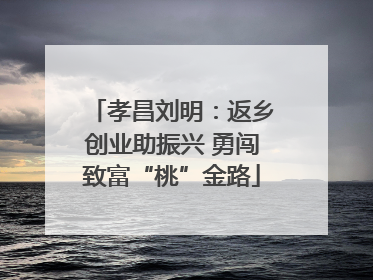孝昌刘明：返乡创业助振兴 勇闯致富“桃”金路