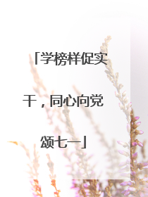学榜样促实干，同心向党颂七一