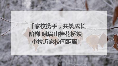 家校携手，共筑成长阶梯 峨眉山桂花桥镇小拉近家校间距离
