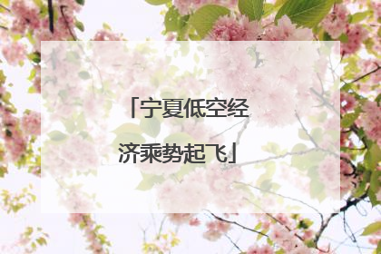 宁夏低空经济乘势起飞