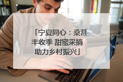 宁夏同心：桑葚丰收季 甜蜜采摘助力乡村振兴