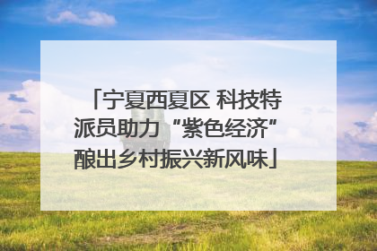 宁夏西夏区 科技特派员助力“紫色经济”酿出乡村振兴新风味