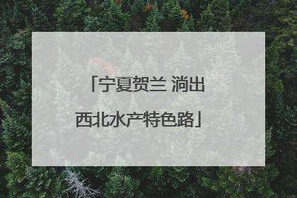 宁夏贺兰 淌出西北水产特色路