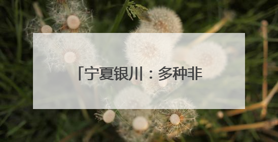 宁夏银川：多种非遗技艺引民众参观