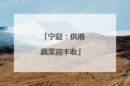 宁夏：供港蔬菜迎丰收