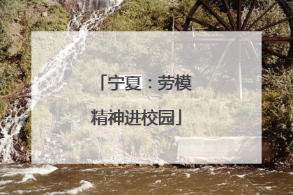 宁夏：劳模精神进校园
