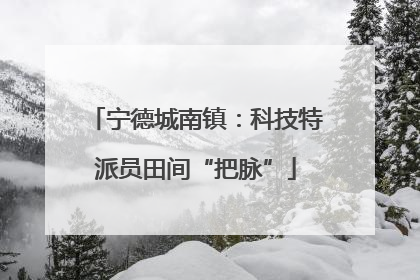 宁德城南镇：科技特派员田间“把脉”