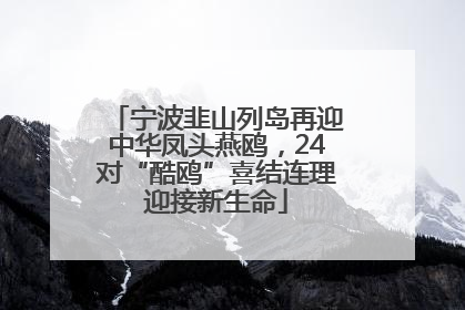 宁波韭山列岛再迎中华凤头燕鸥，24对“酷鸥”喜结连理迎接新生命