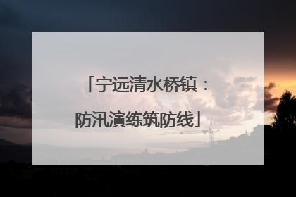 宁远清水桥镇：防汛演练筑防线