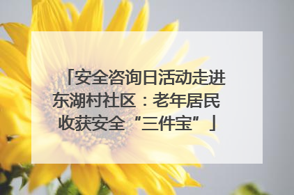 安全咨询日活动走进东湖村社区：老年居民收获安全“三件宝”