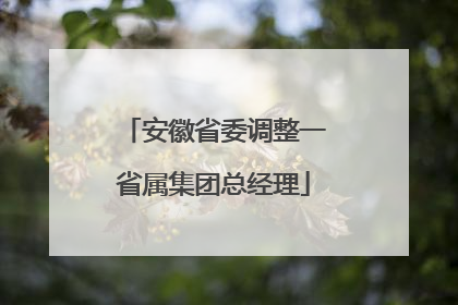 安徽省委调整一省属集团总经理