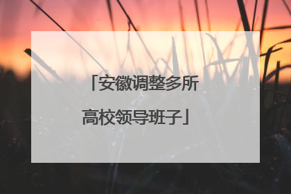 安徽调整多所高校领导班子