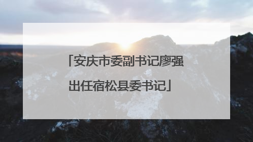 安庆市委副书记廖强出任宿松县委书记