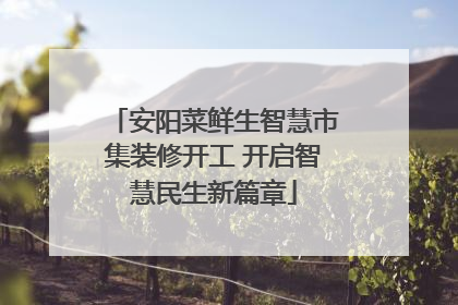 安阳菜鲜生智慧市集装修开工 开启智慧民生新篇章