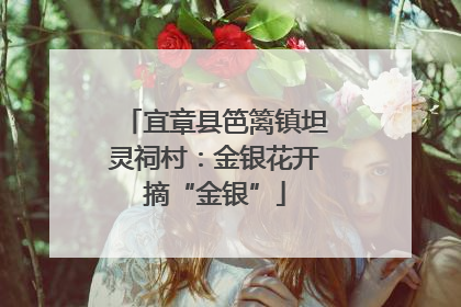 宜章县笆篱镇坦灵祠村：金银花开摘“金银”
