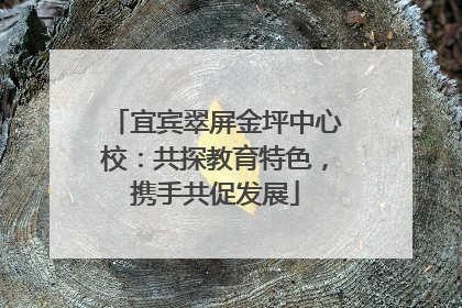 宜宾翠屏金坪中心校：共探教育特色，携手共促发展