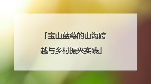 宝山蓝莓的山海跨越与乡村振兴实践