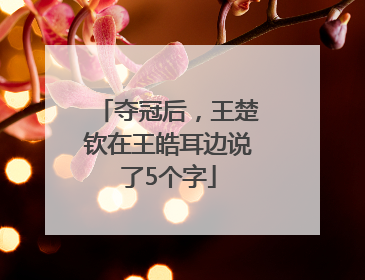 夺冠后，王楚钦在王皓耳边说了5个字