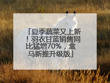 夏季蔬菜又上新！羽衣甘蓝销售同比猛增70%，盒马新推升级版