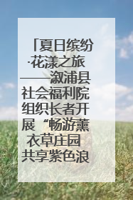 夏日缤纷·花漾之旅——溆浦县社会福利院组织长者开展“畅游薰衣草庄园 共享紫色浪漫”户外活动