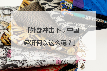 外部冲击下，中国经济何以这么稳？