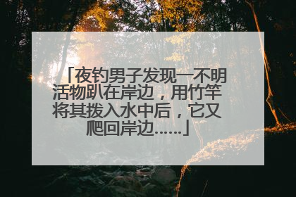 夜钓男子发现一不明活物趴在岸边，用竹竿将其拨入水中后，它又爬回岸边……