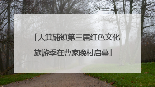 大箕铺镇第三届红色文化旅游季在曹家晚村启幕