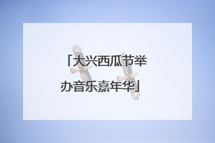 大兴西瓜节举办音乐嘉年华
