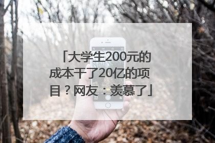 大学生200元的成本干了20亿的项目？网友：羡慕了