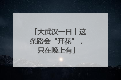 大武汉一日丨这条路会“开花”，只在晚上有