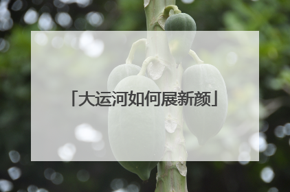 大运河如何展新颜