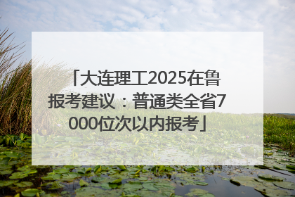 大连理工2025在鲁报考建议：普通类全省7000位次以内报考