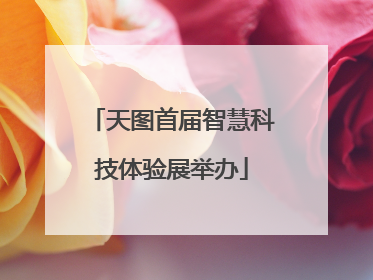 天图首届智慧科技体验展举办
