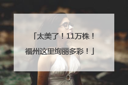 太美了！11万株！福州这里绚丽多彩！