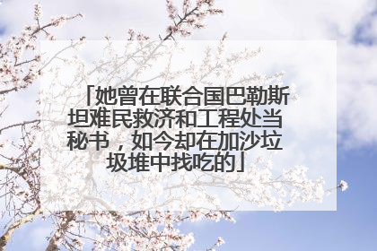 她曾在联合国巴勒斯坦难民救济和工程处当秘书，如今却在加沙垃圾堆中找吃的