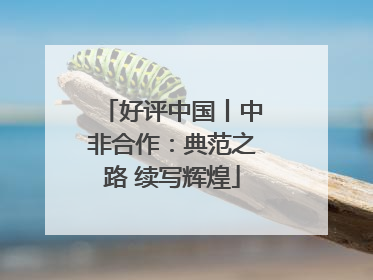 好评中国丨中非合作：典范之路 续写辉煌