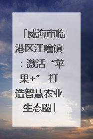 威海市临港区汪疃镇：激活“苹果+” 打造智慧农业生态圈