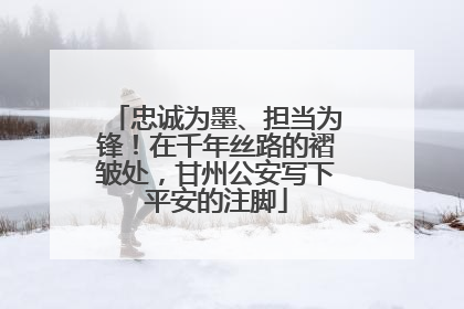 忠诚为墨、担当为锋！在千年丝路的褶皱处，甘州公安写下平安的注脚