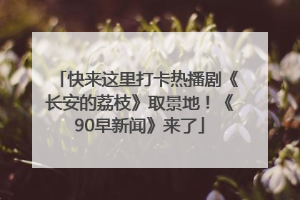快来这里打卡热播剧《长安的荔枝》取景地！《90早新闻》来了