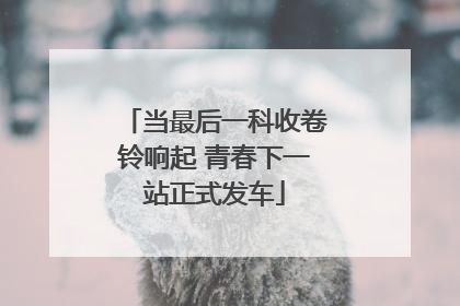 当最后一科收卷铃响起 青春下一站正式发车