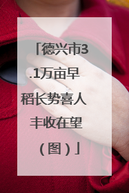 德兴市3.1万亩早稻长势喜人 丰收在望（图）