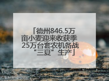 德州846.5万亩小麦迎来收获季 25万台套农机备战“三夏”生产