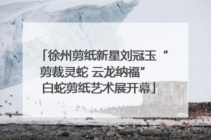 徐州剪纸新星刘冠玉“剪裁灵蛇 云龙纳福” 白蛇剪纸艺术展开幕