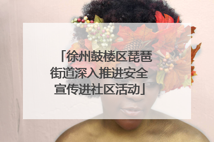 徐州鼓楼区琵琶街道深入推进安全宣传进社区活动