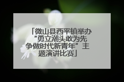 微山县西平镇举办“勇立潮头敢为先 争做时代新青年”主题演讲比赛