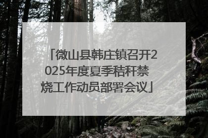 微山县韩庄镇召开2025年度夏季秸秆禁烧工作动员部署会议