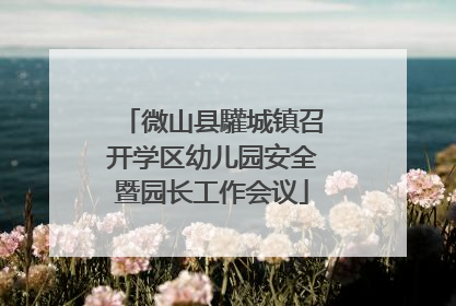 微山县驩城镇召开学区幼儿园安全暨园长工作会议