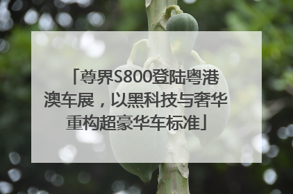 尊界S800登陆粤港澳车展，以黑科技与奢华重构超豪华车标准