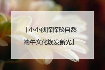 小小侦探探秘自然 端午文化焕发新光