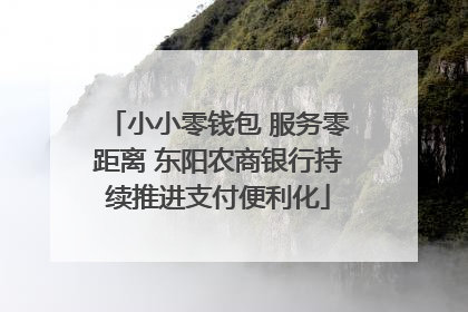 小小零钱包 服务零距离 东阳农商银行持续推进支付便利化